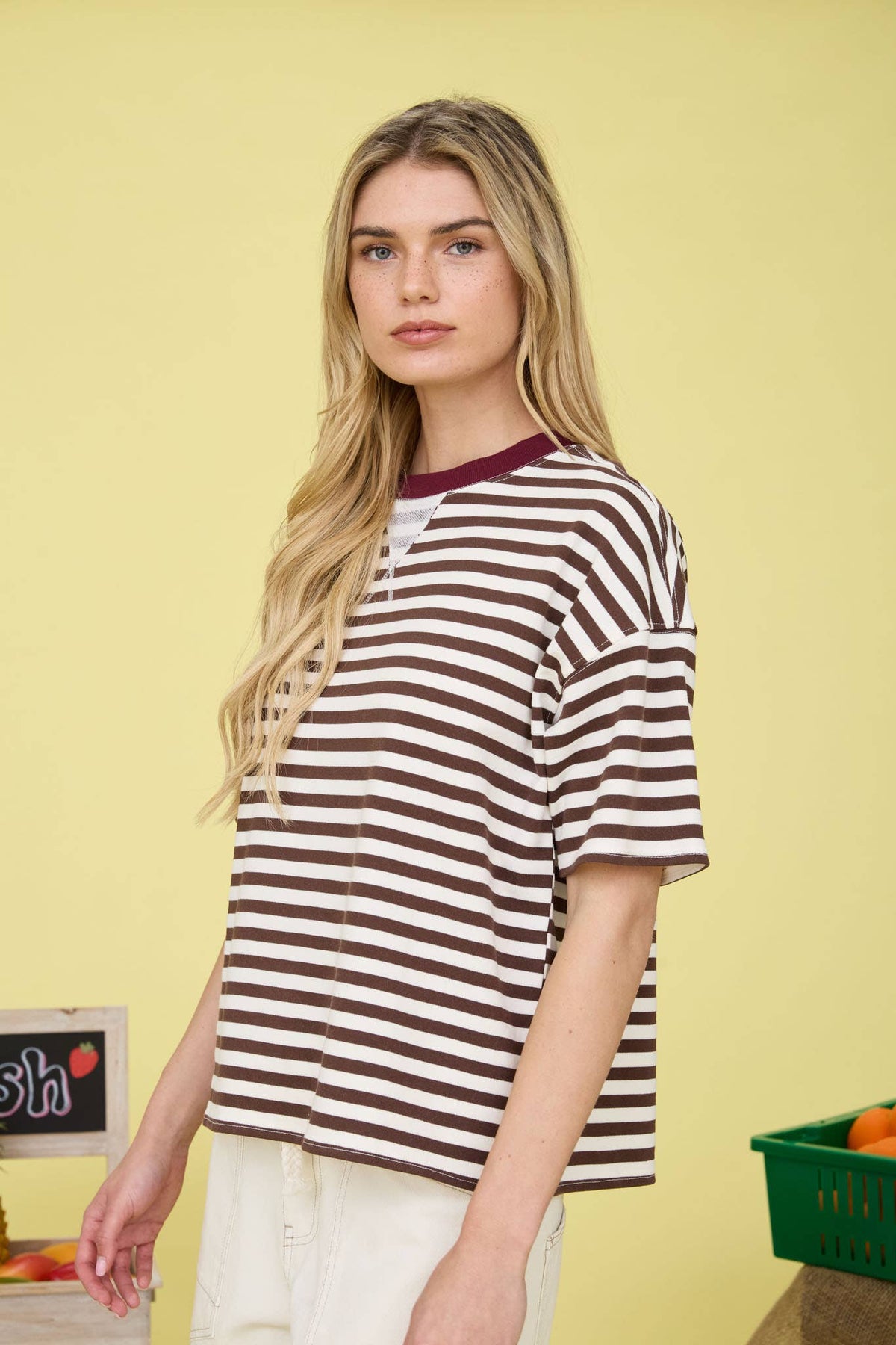 STRIPE COLORBLOCK SHORT SLEEVE KNIT T-SHIRT : DARK BROWN MULTI
