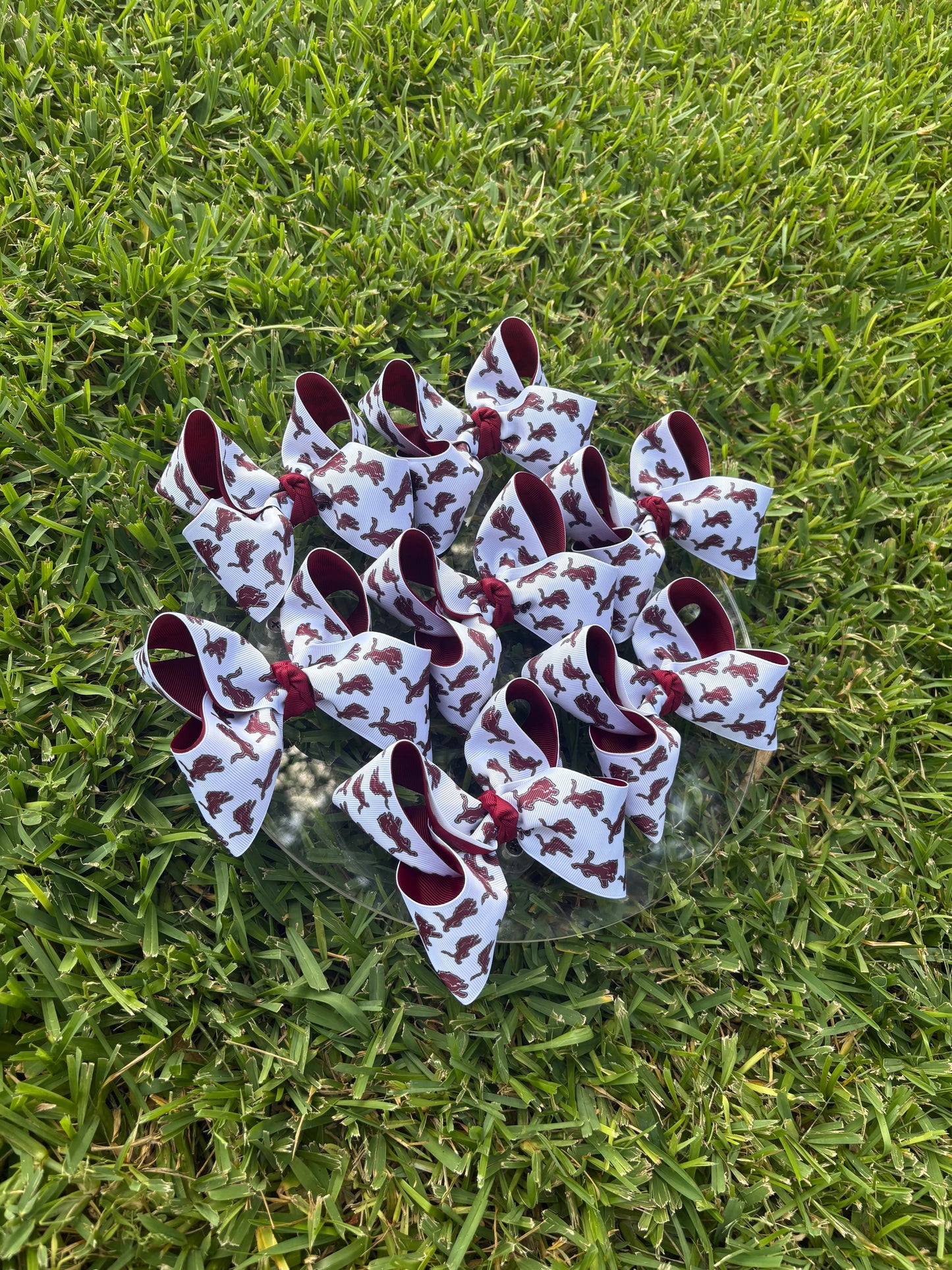 Brownwood Lions Custom Bow-LE